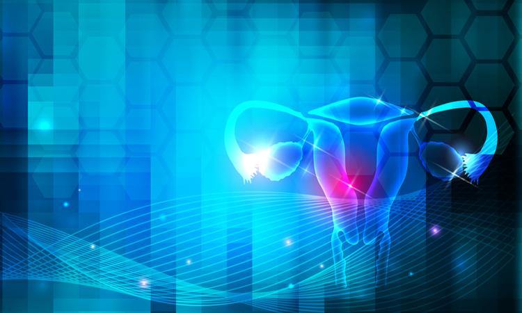 NAD+ and Pregnancy - Inspira Nutritionals